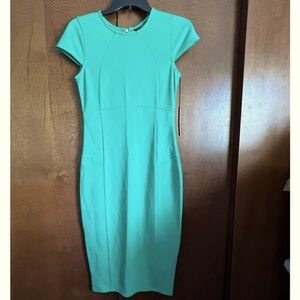 Felicity & Coco Kelly Green Midi Dress NWT Sz Small.